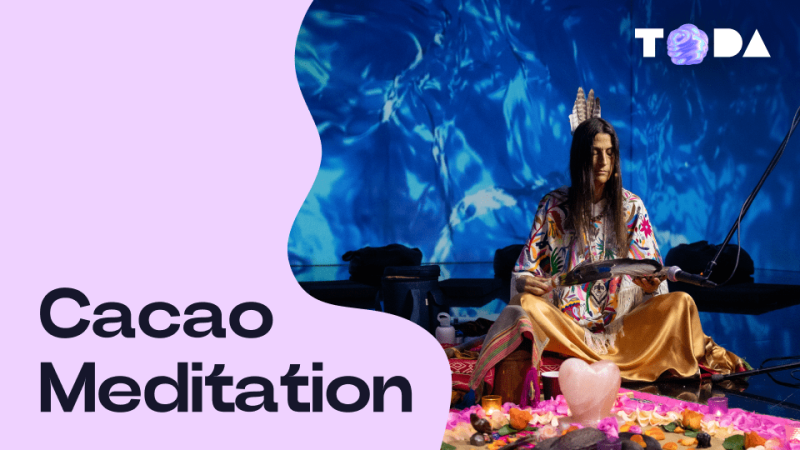 ToDA – Cacao Meditation 360° – Theatre of Digital Art