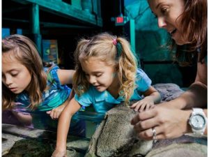 Istanbul Sea Life Aquarium Top-Rated Attractions