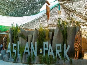 Lionpark Entrance Ticket Theme Parks