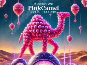 PinkCamel Music Festival Festival