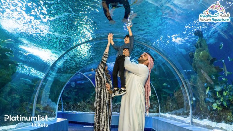 Fakieh Aquarium – Experiences