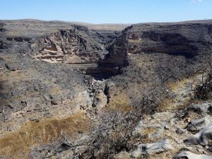 Salalah: Private Full-Day Jebel Safari Tour East Recently Added Experiences